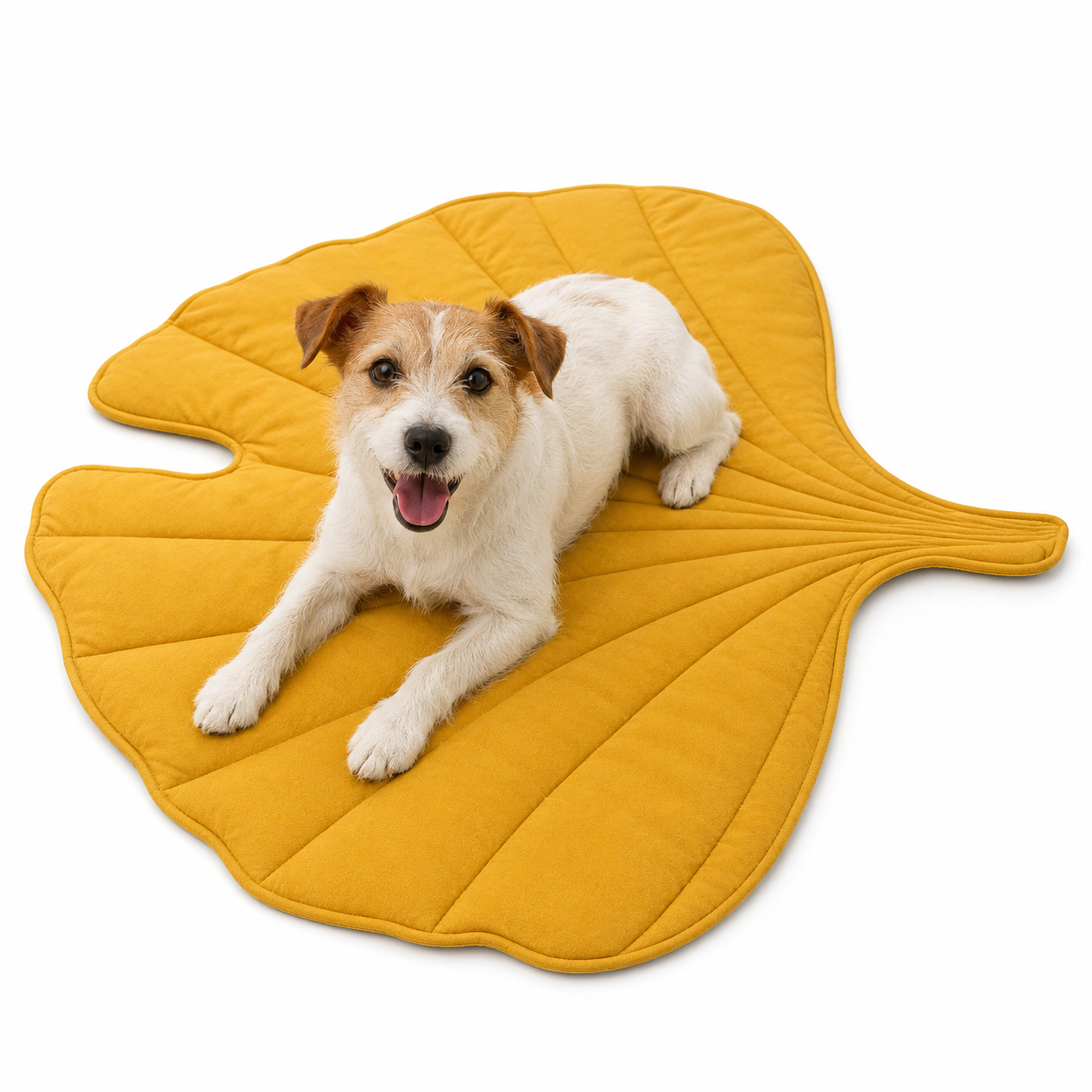 Cama Alfombra Ginkgo Biloba: Confort y Estilo Natural
