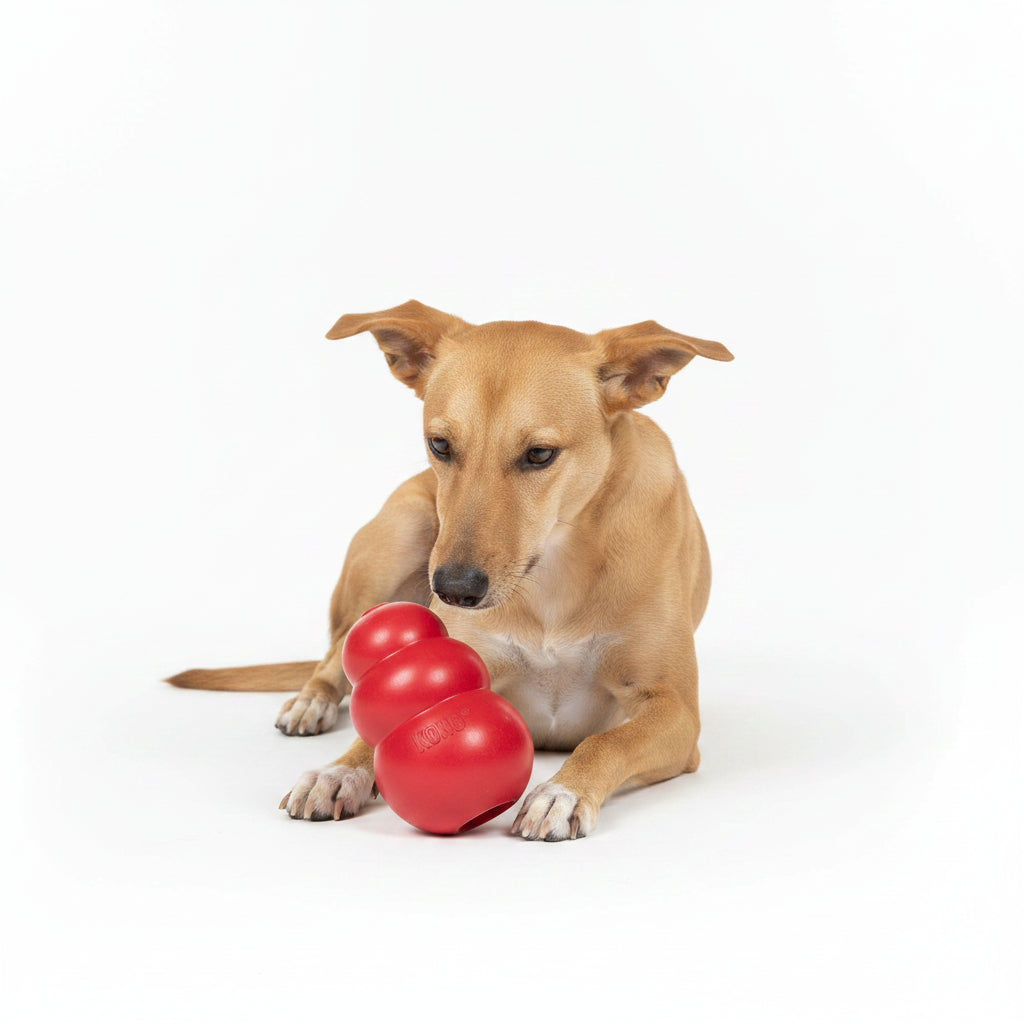 KONG Classic – Juguete de Caucho Natural para Perros