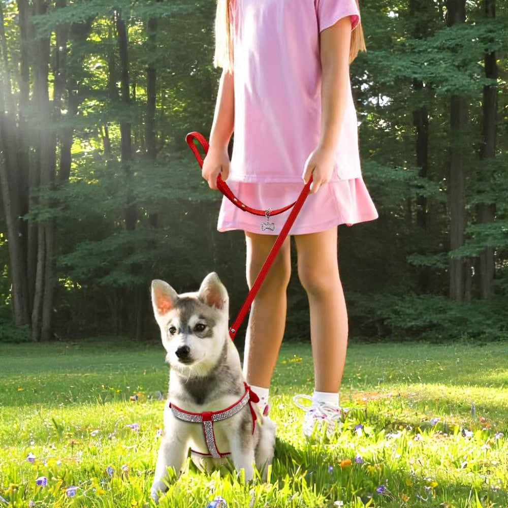 Árnes de Gamuza con Cristales para Perros Color Rojo
