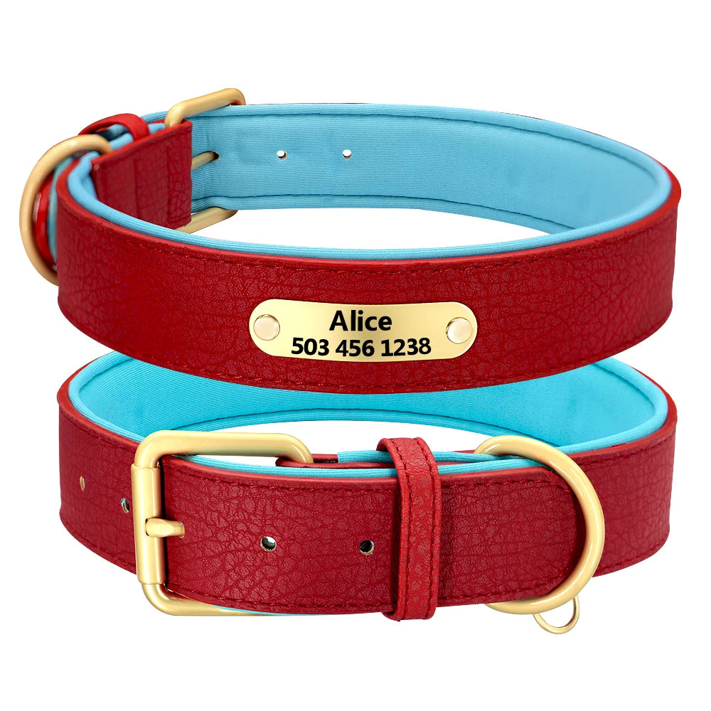 Collar de Piel Acolchado con Placa Grabada Personalizada