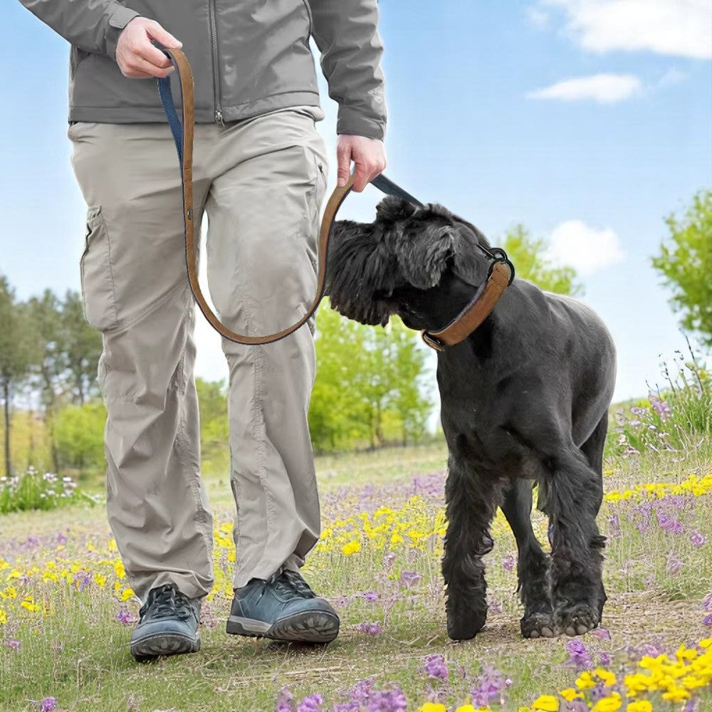 Set de Collar y Correa de Cuero para Perros – Máximo Estilo y Confort