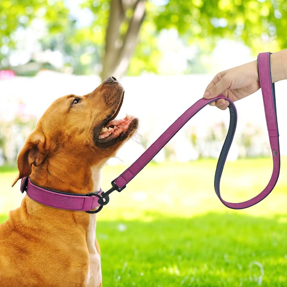 Set púrpura de collar y correa de cuero para perros – Estilo y protección