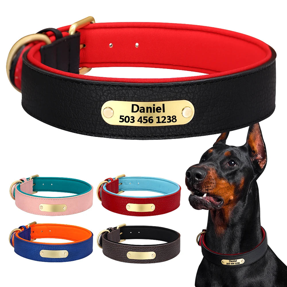 Collar de Piel Acolchado con Placa Grabada Personalizada