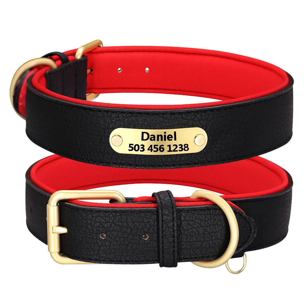 Collar de Piel Acolchado con Placa Grabada Personalizada