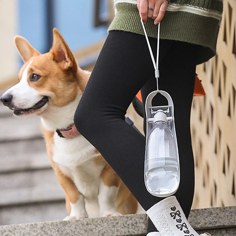 Botella Portátil de Agua para Perros y Gatos – Práctica, Segura y Antiderrame