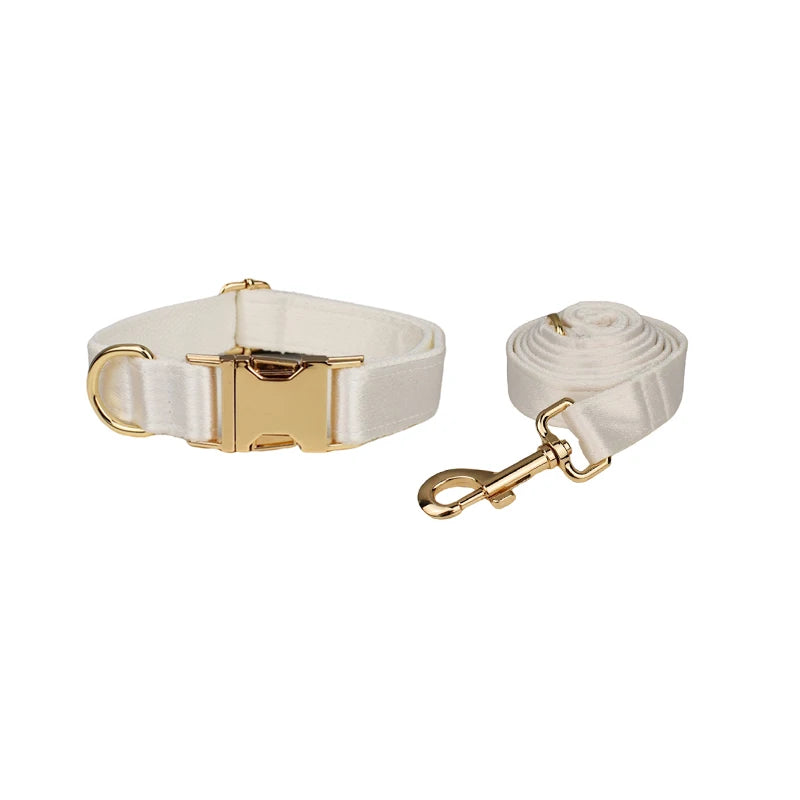 Set de Collar, Arnés, Correa y Lazo Personalizable Estampado