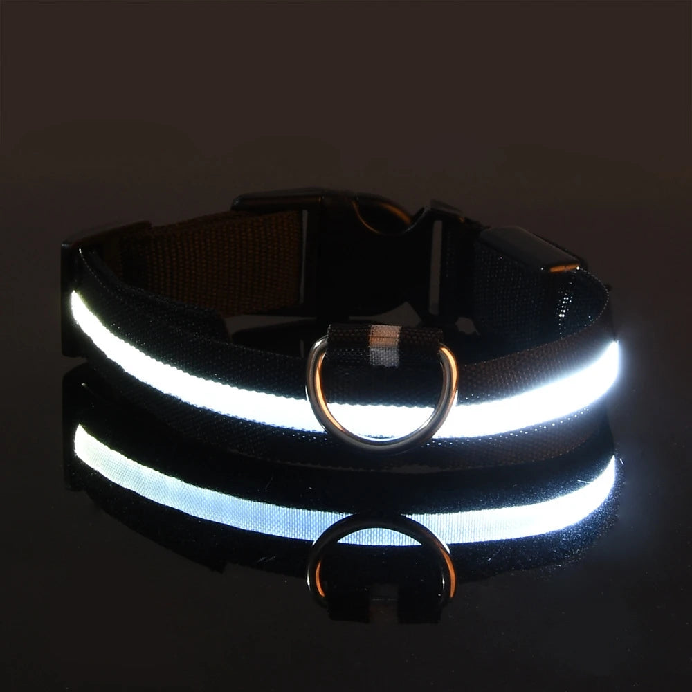Collar LED Luminoso de Seguridad para Perros
