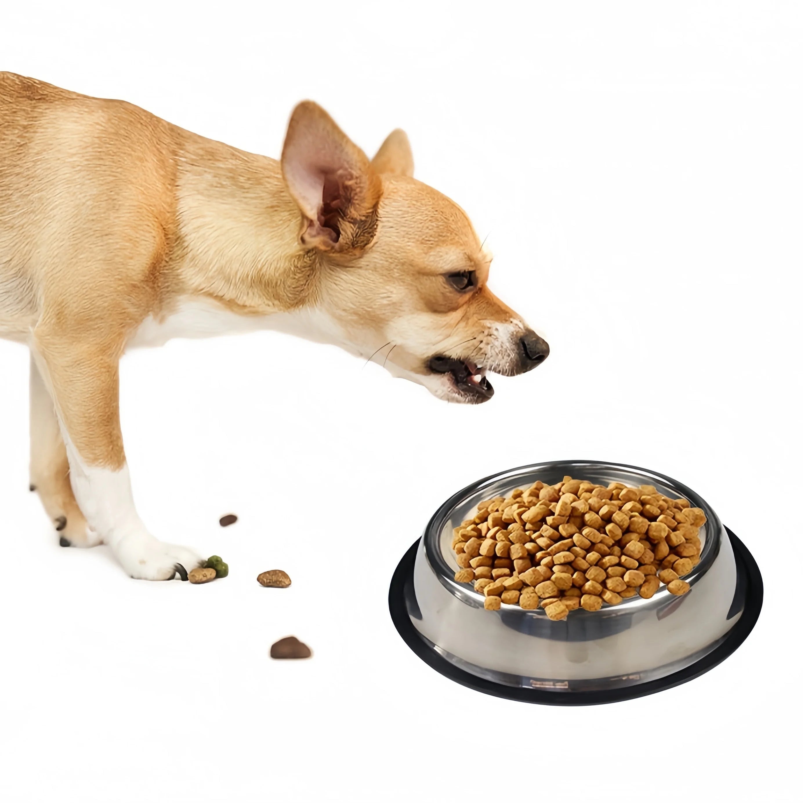 Comedero Antideslizante de Acero Inoxidable para Perros y Gatos – Resistente, Higiénico y Seguro