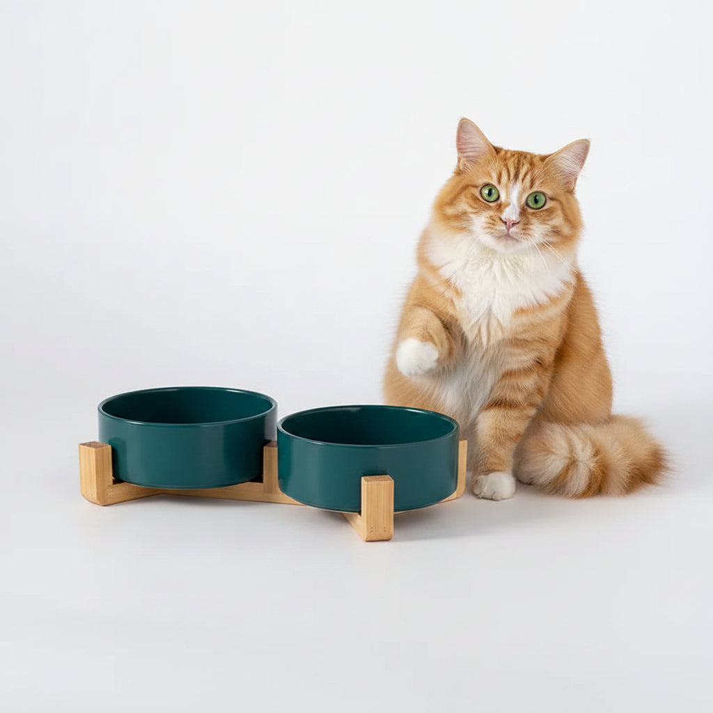 Comedero Cerámico con Soporte de Madera - Colores Vivos