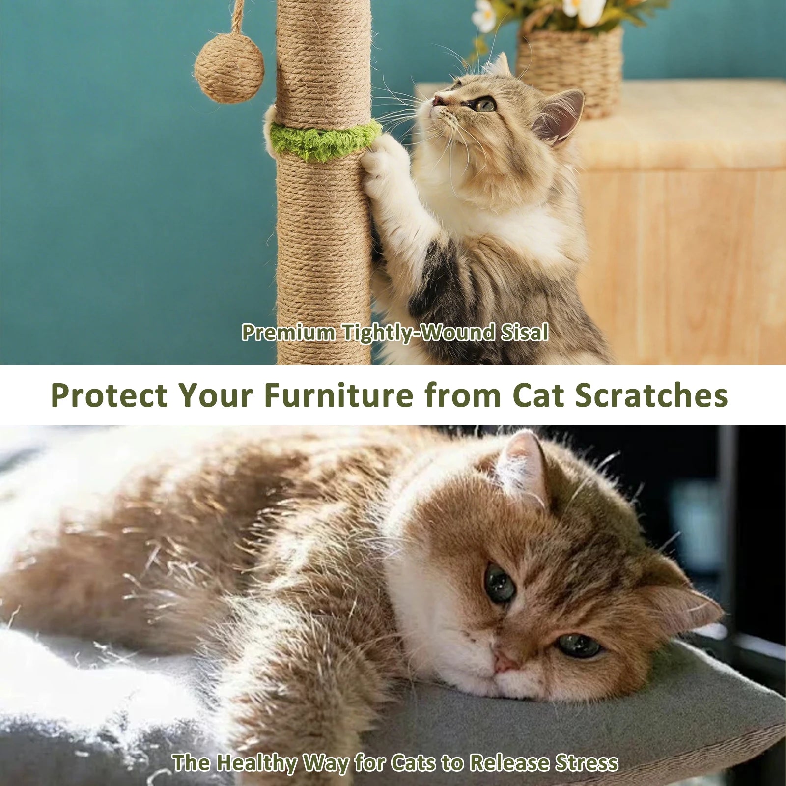Arbre à chat avec niche et balles suspendues