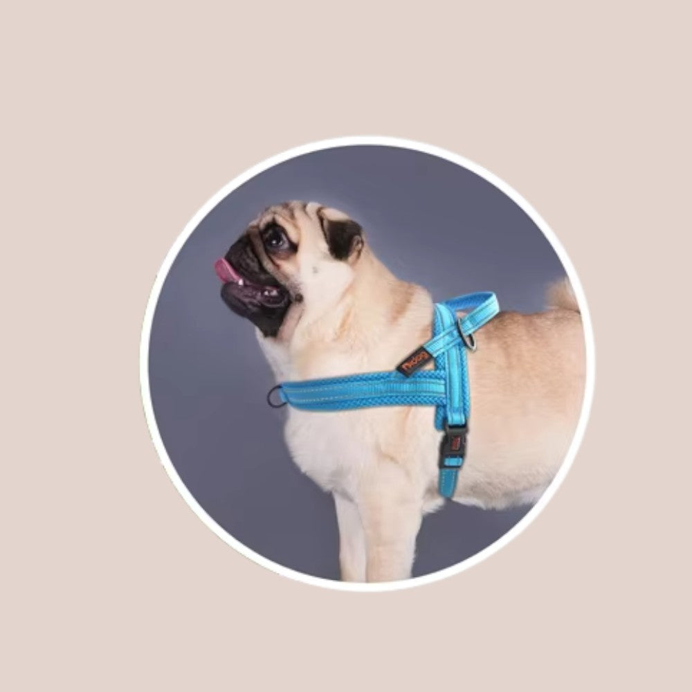 Arnés Antitirones Azul de Nylon para Perros