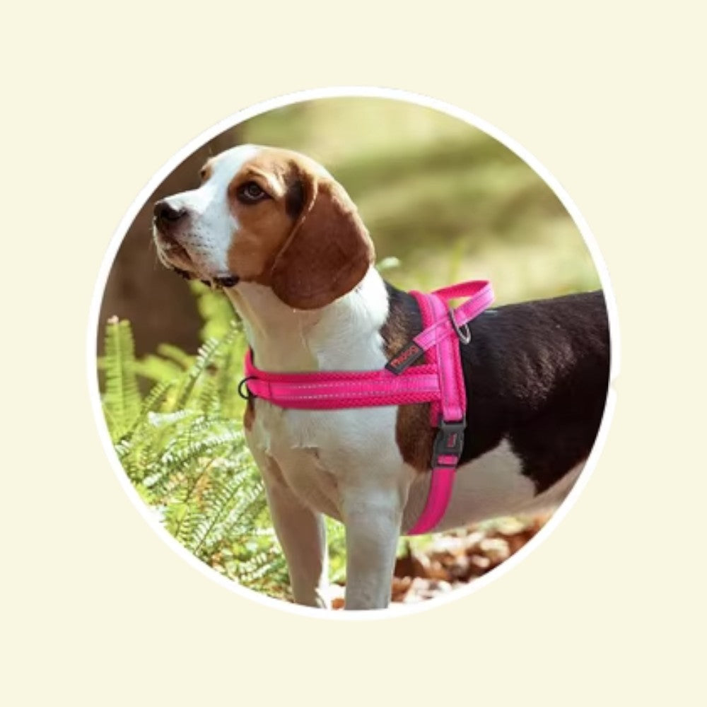 Arnés Antitirones de Nylon Reflectante para Perros Color Rosa