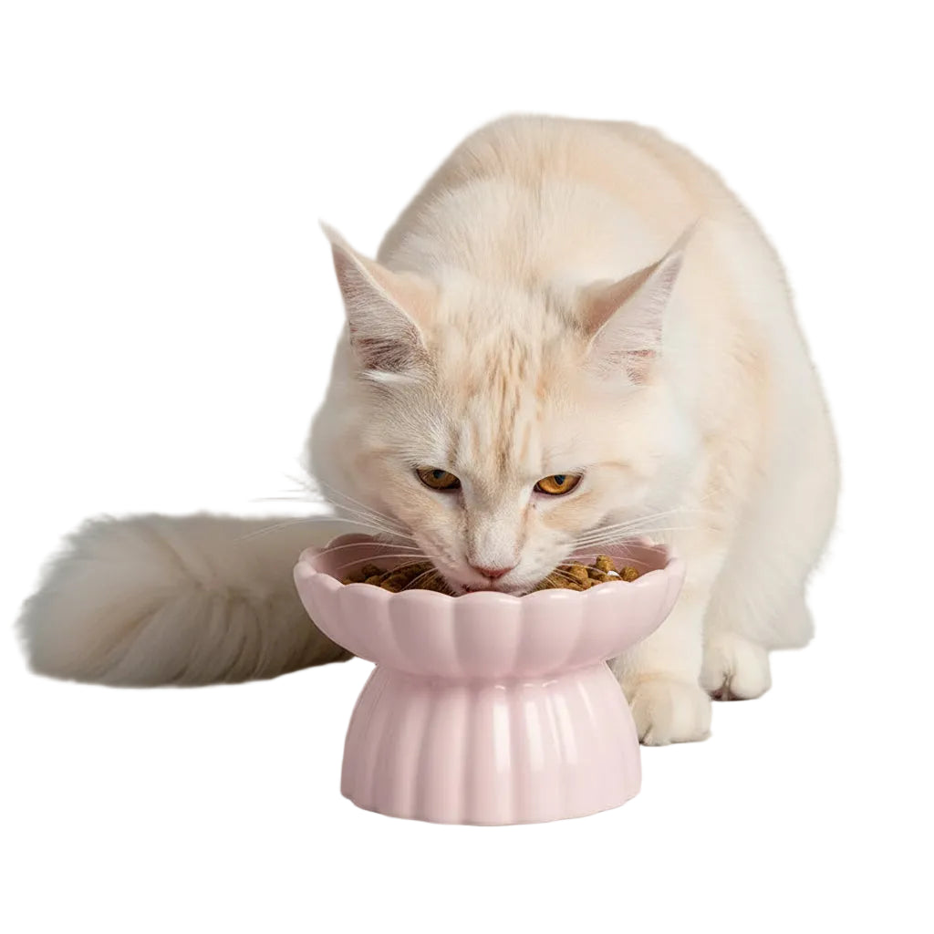 Comedero Cerámico Elevado Antiatragantamiento para Gatos - Rosa