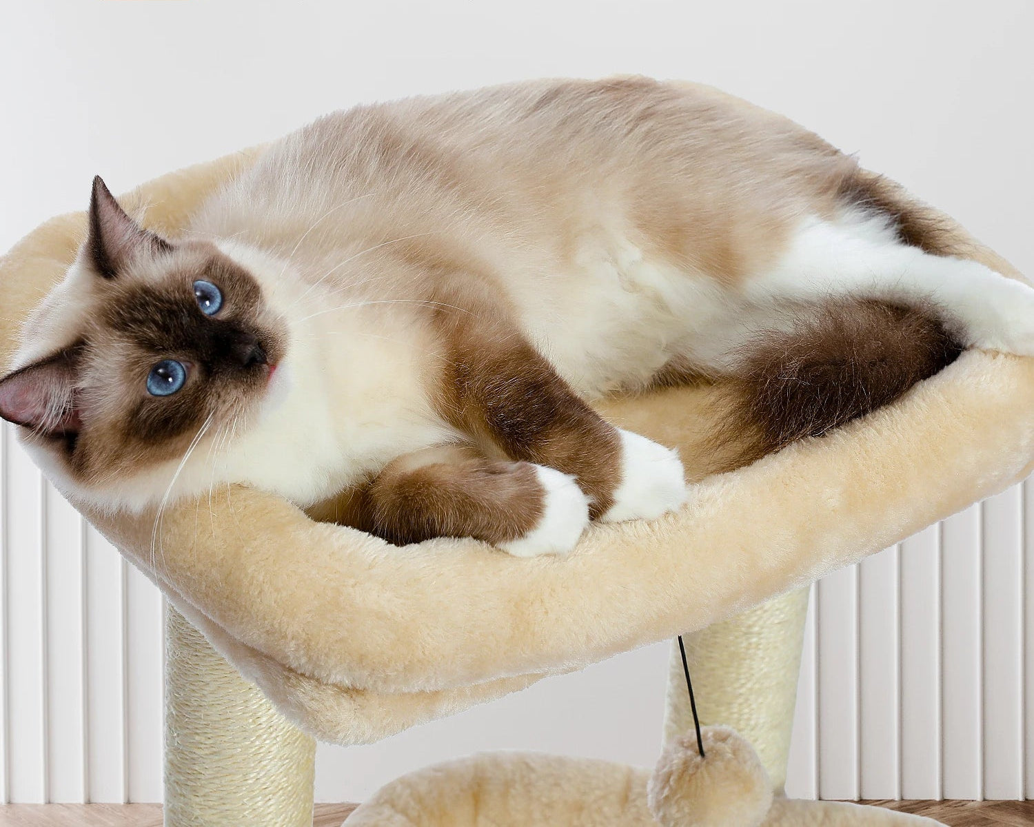 Árbol Rascador para Gatos con Cueva y Plataformas – Confort, Diversión y Seguridad