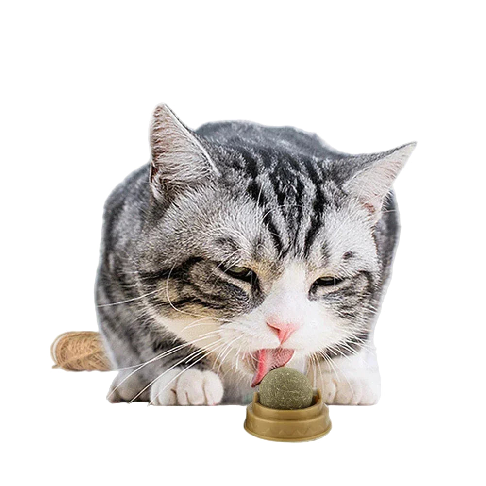 Juguete Estimulante con Catnip para Gatos - Plástico de Alta Calidad