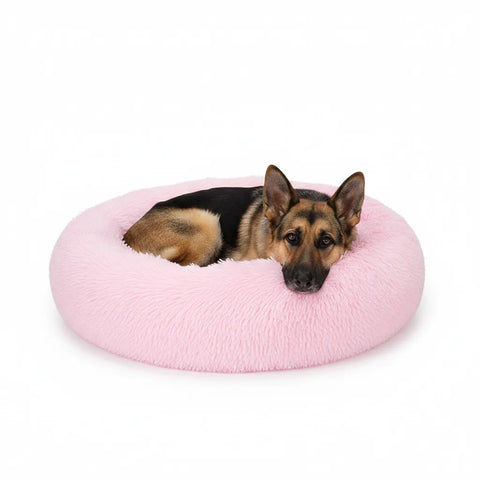 Hundebetten