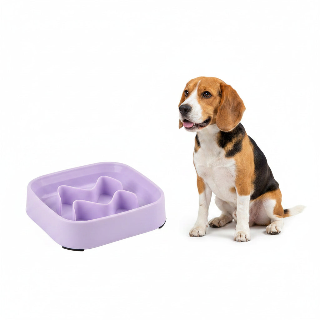 Comedero Antiahogo de Colores para Perros y Gatos