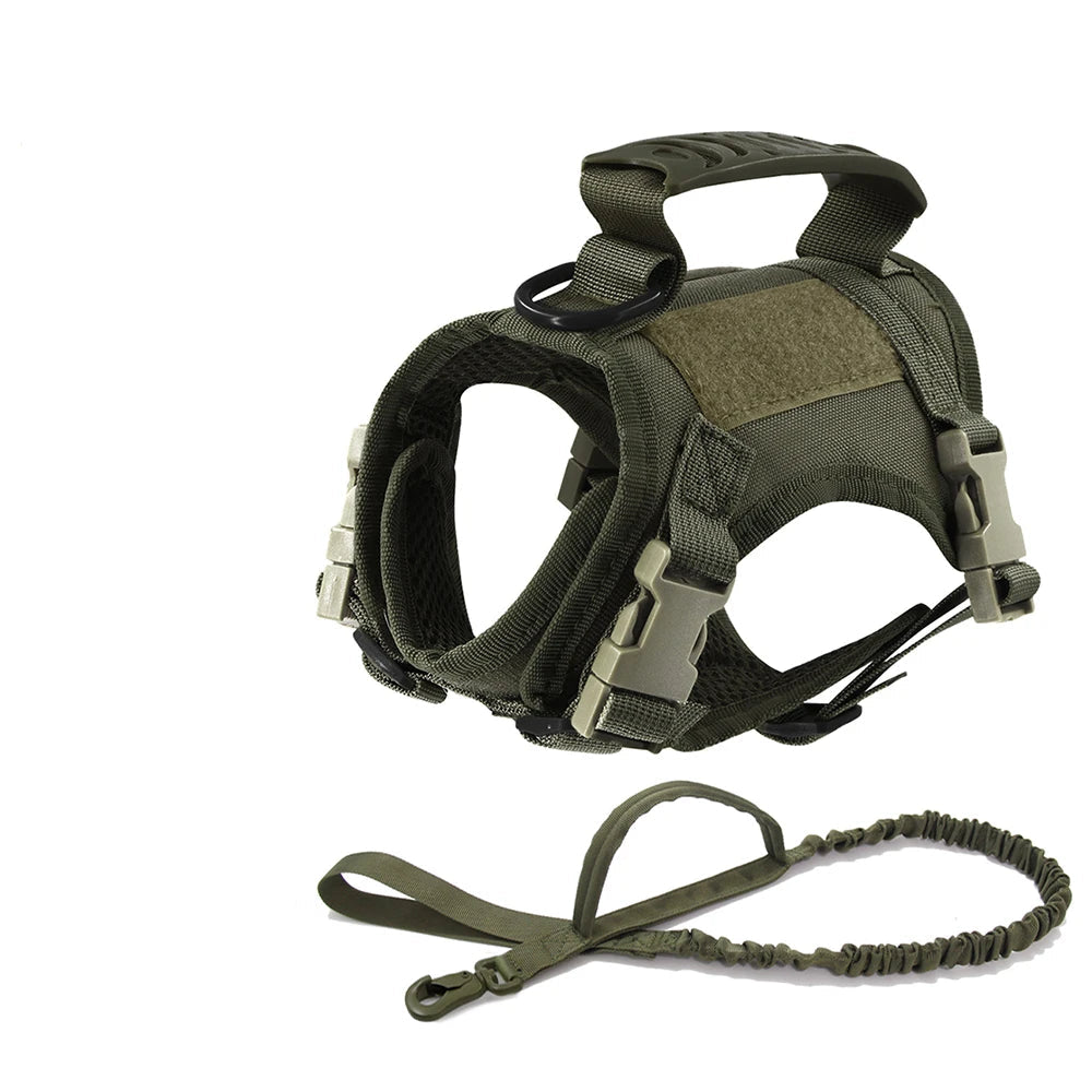 Arnés Táctico Ajustable para Gatos con Correa y 2 Parches - Control Total