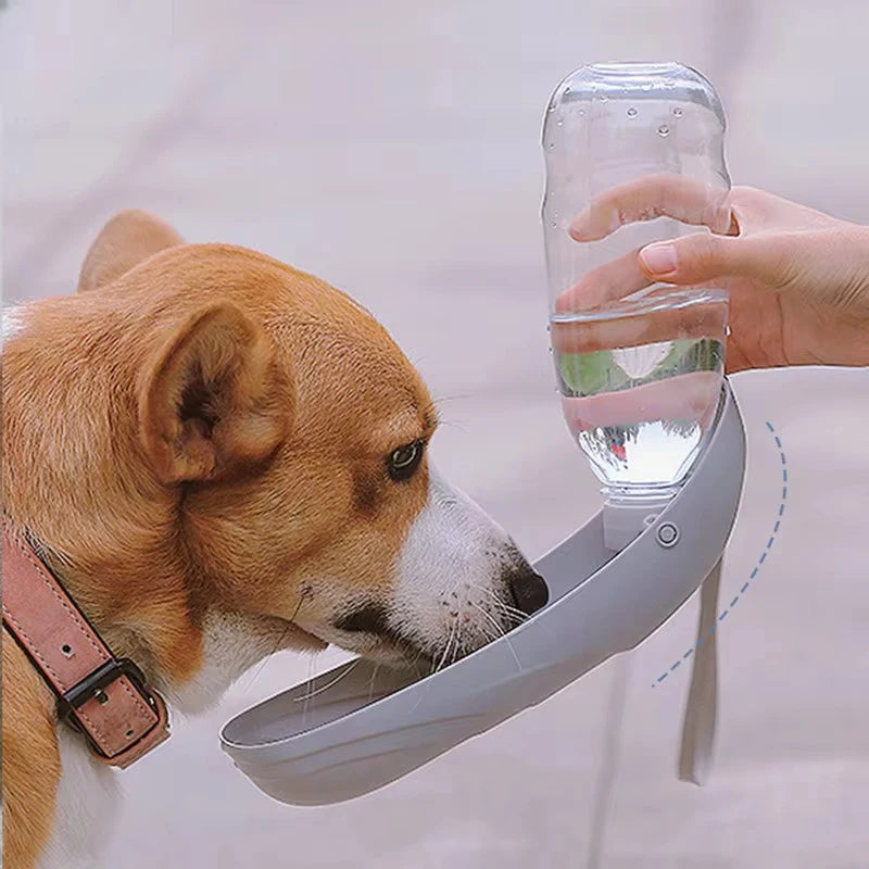 Botella Portátil de Agua para Perros y Gatos – Práctica, Segura y Antiderrame