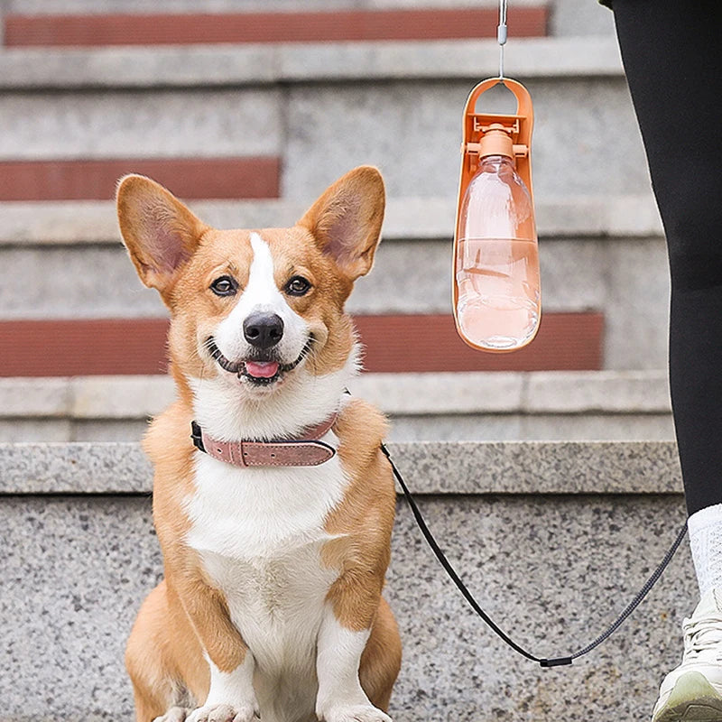 Botella Portátil de Agua para Perros y Gatos – Práctica, Segura y Antiderrame