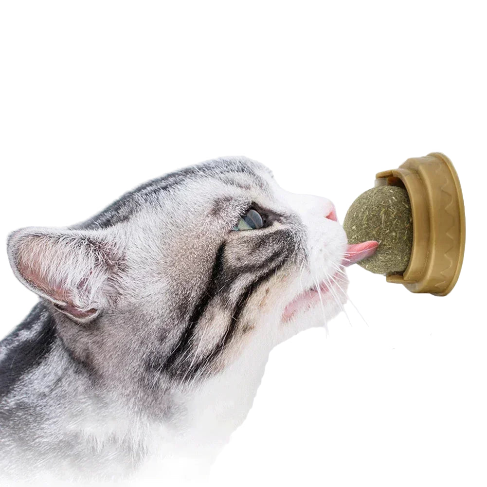 Juguete Estimulante con Catnip para Gatos - Plástico de Alta Calidad