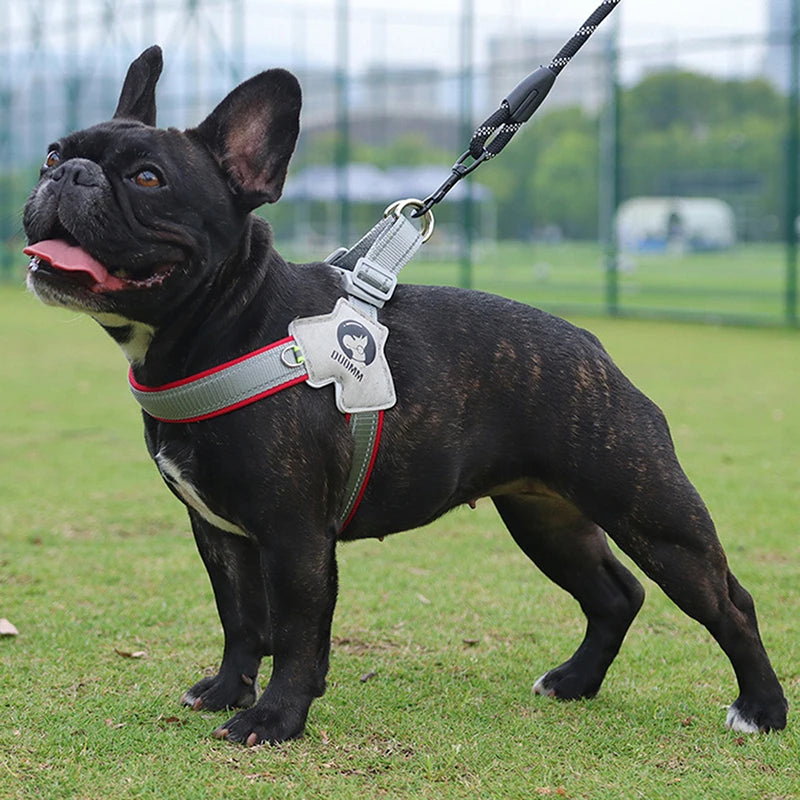 Arnés en “Y” reflectante y ajustable de perros – Comodidad y seguridad para tu mascota
