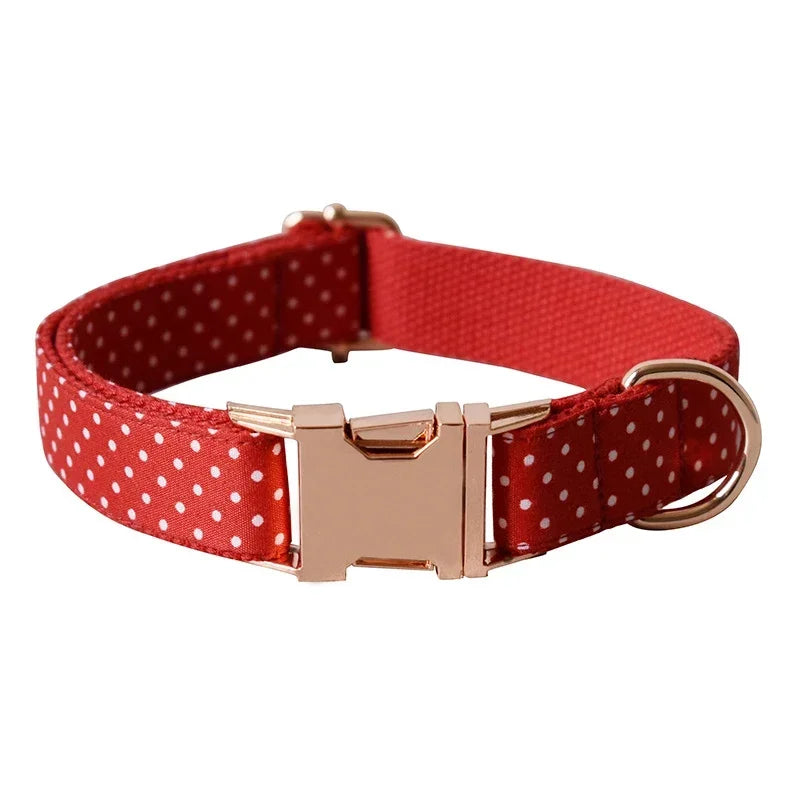 Conjunto de Collar y Correa Sólidos de Nylon para Perros – Seguridad y Comodidad en Cada Paseo