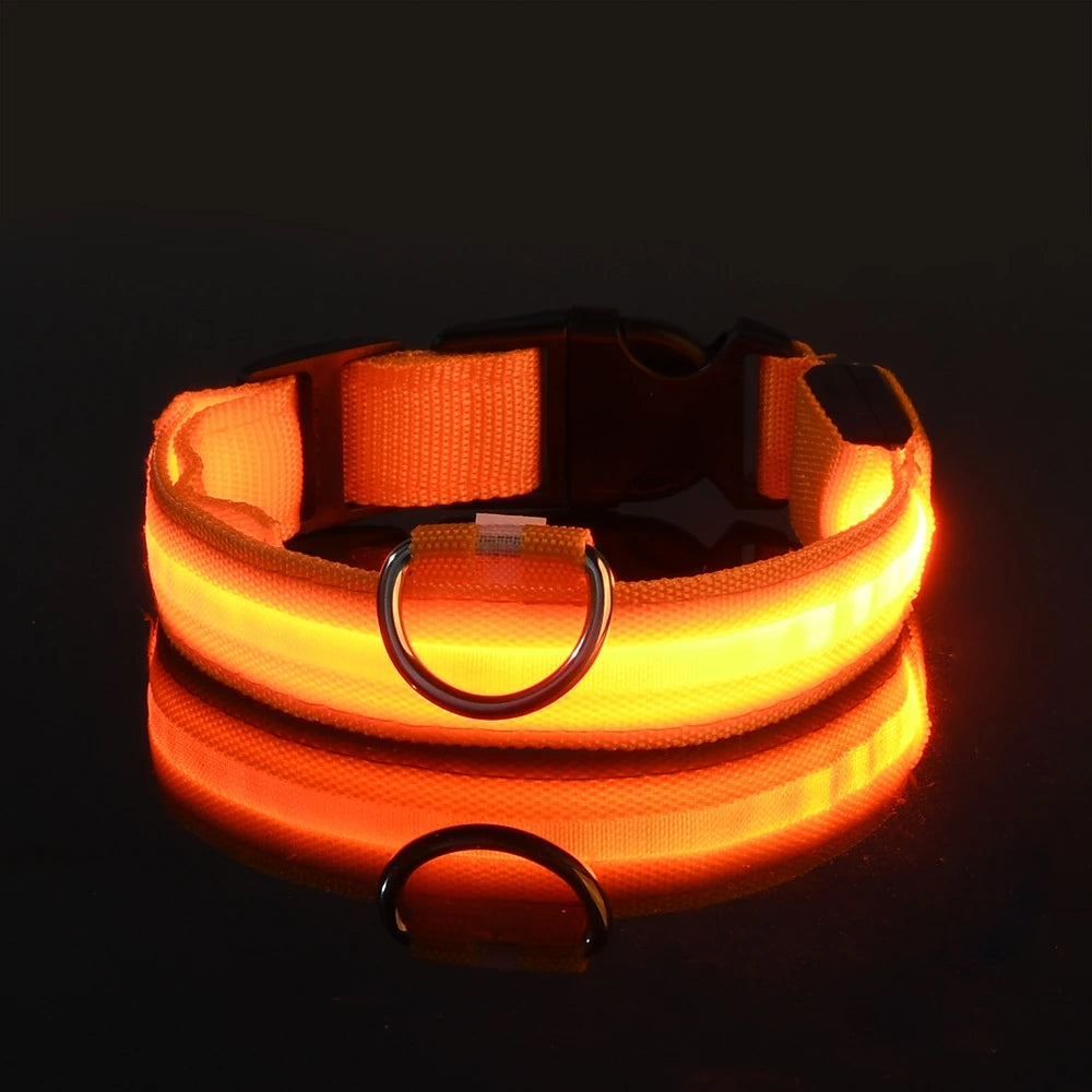 Collar LED Luminoso de Seguridad para Perros