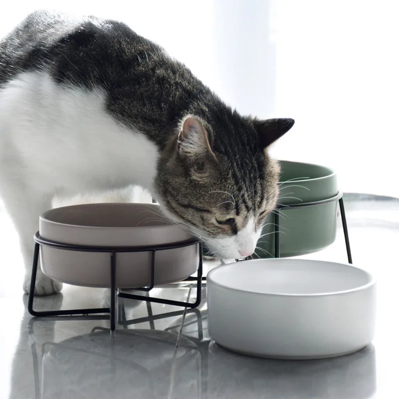 Comedero Doble de Cerámica para Gatos y Perros Pequeños