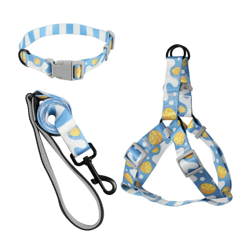 Sky Blue Print Dog Harness & Collar Set