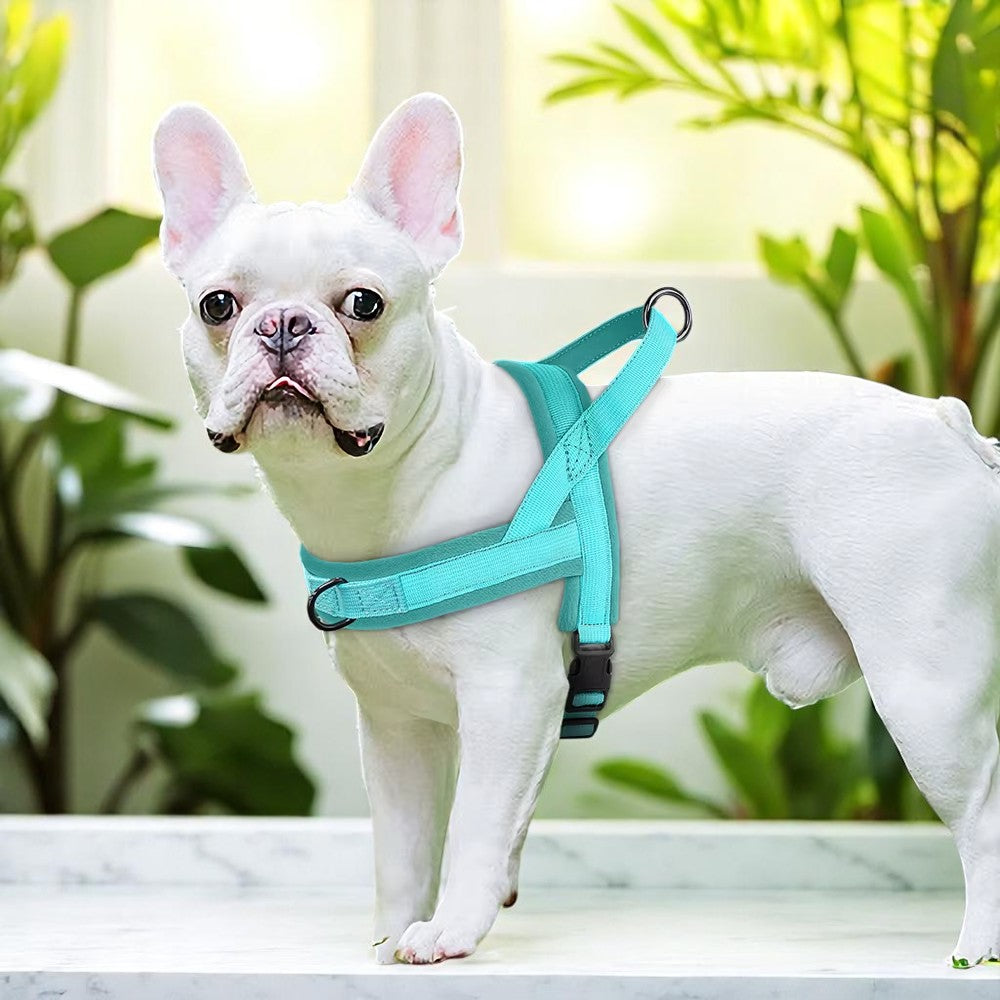 Arnés Antitirones Azul de Nylon para Perros