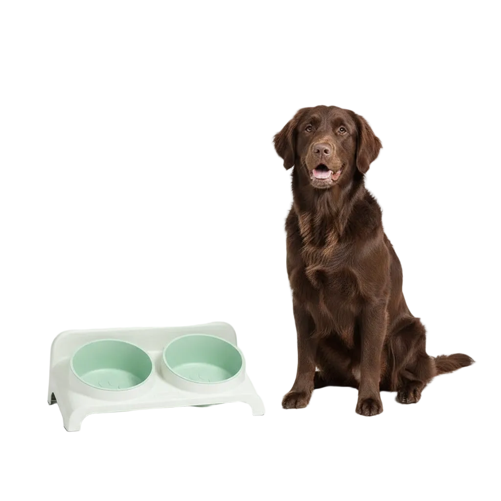 Comedero Doble Elevado y Ajustable para Perros y Gatos