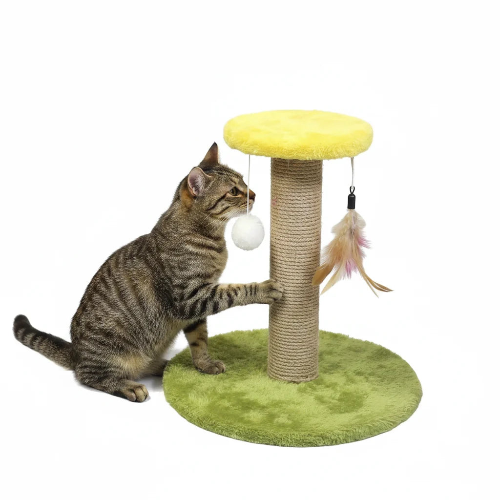 Rascador de sisal verde con gato Europeo Común