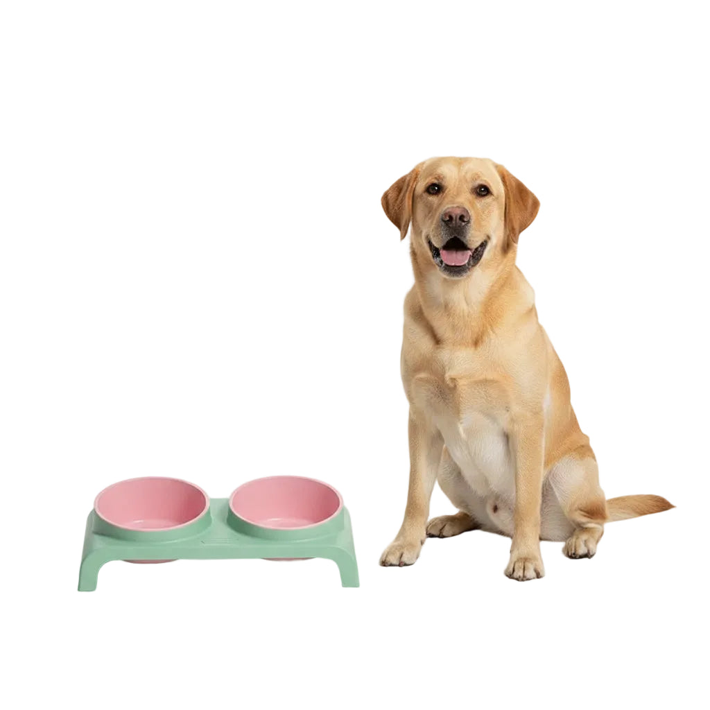 Comedero Doble Elevado y Ajustable para Perros y Gatos