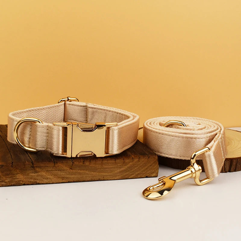 Set de Collar, Arnés y Correa de Lujo Personalizable