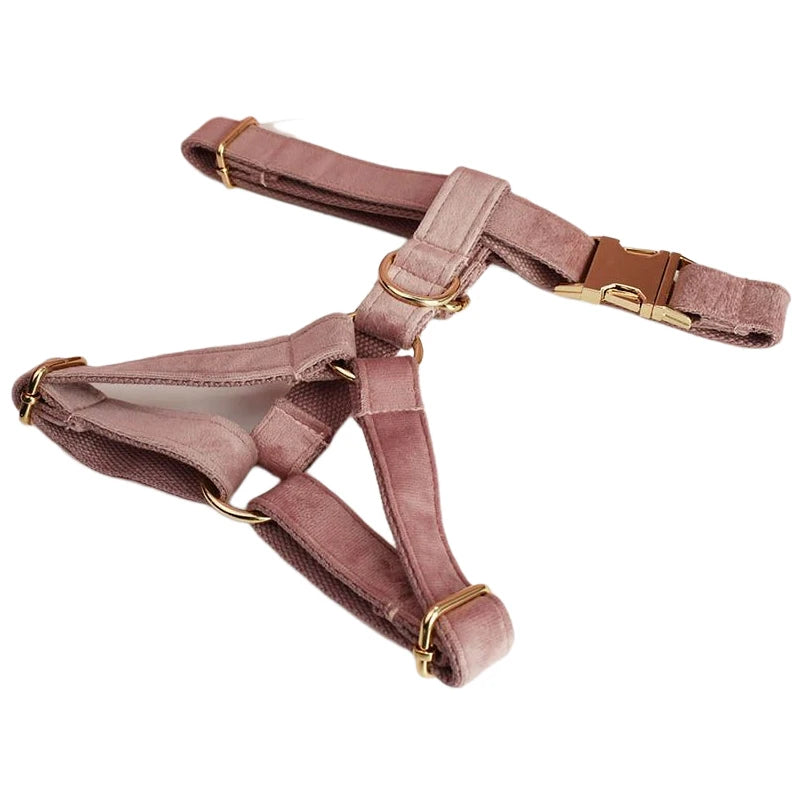 Set de Collar y Correa de Terciopelo Lila Personalizable