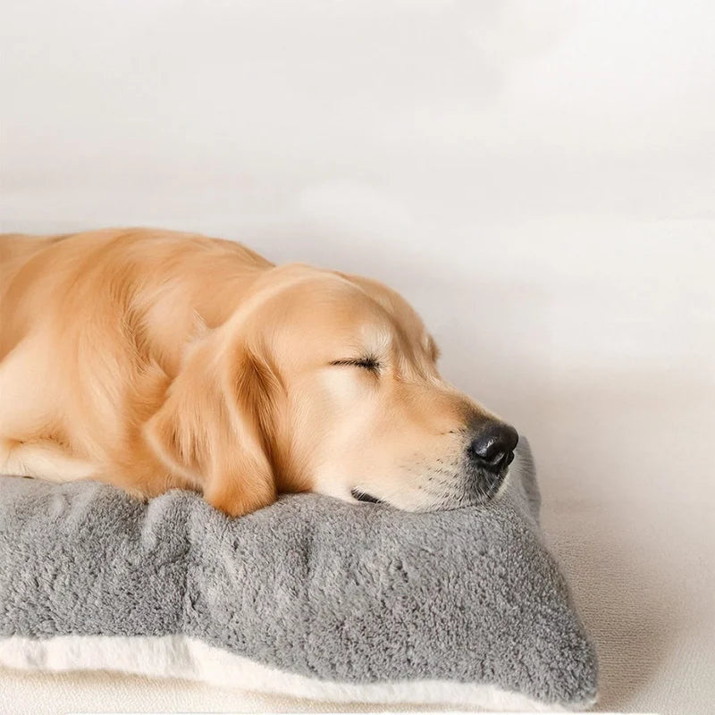 Lit-canapé en peluche extra large pour chiens