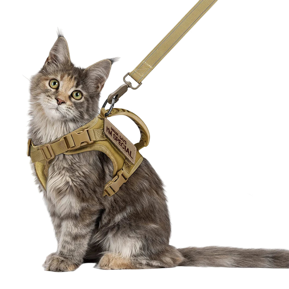 Arnés Táctico Ajustable para Gatos con Correa y 2 Parches - Control Total