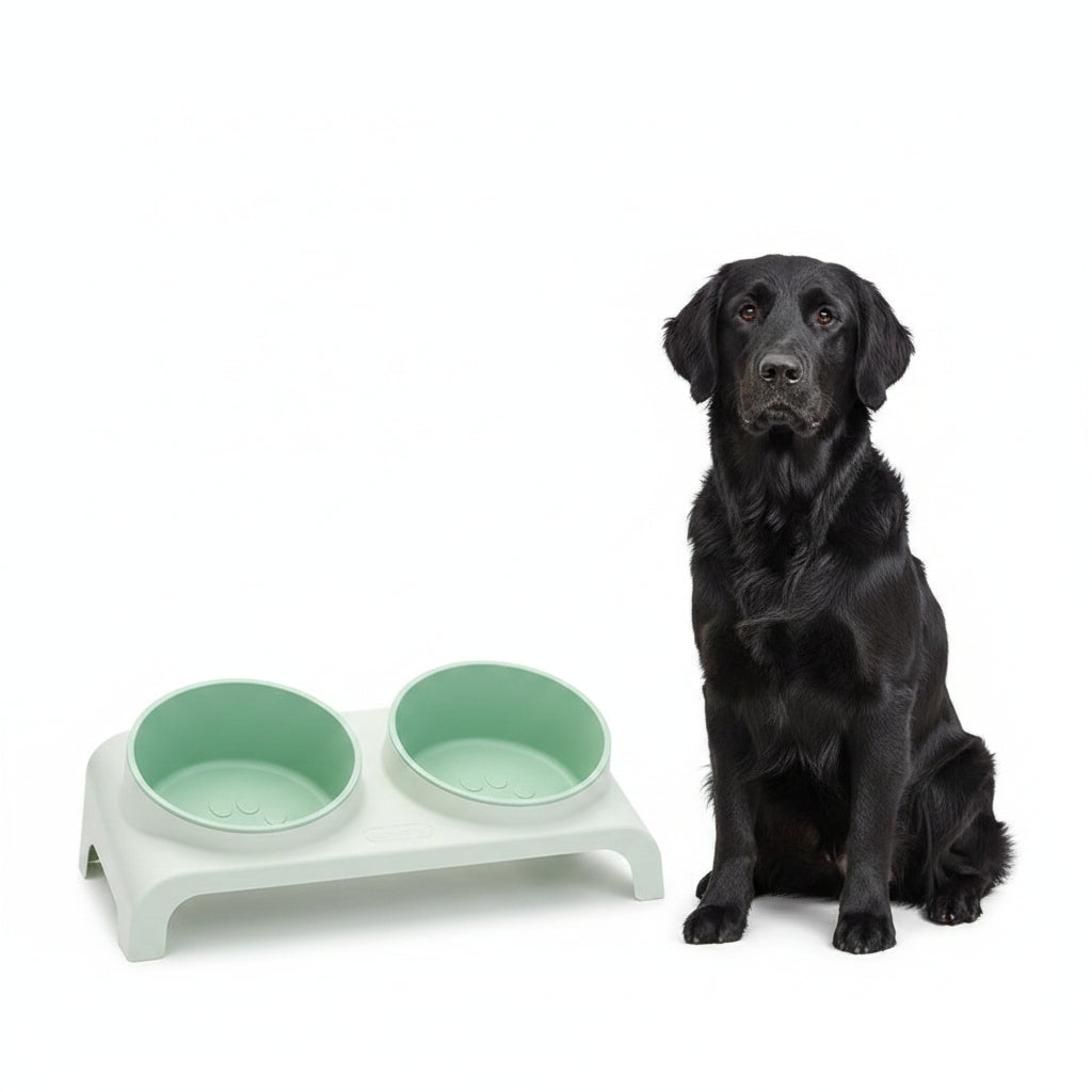 Comedero Doble Elevado y Ajustable para Perros y Gatos