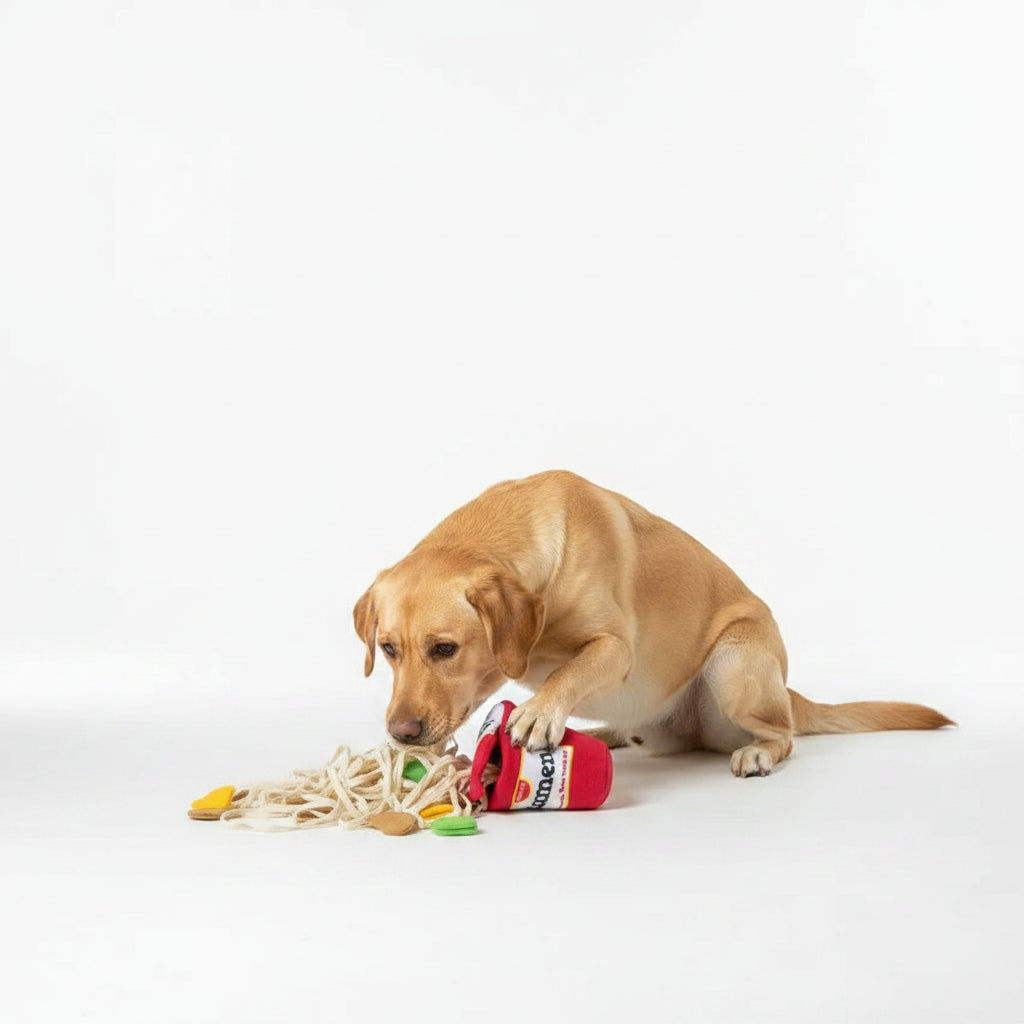 Juguete de Olfato con Forma de Fideos para Perros