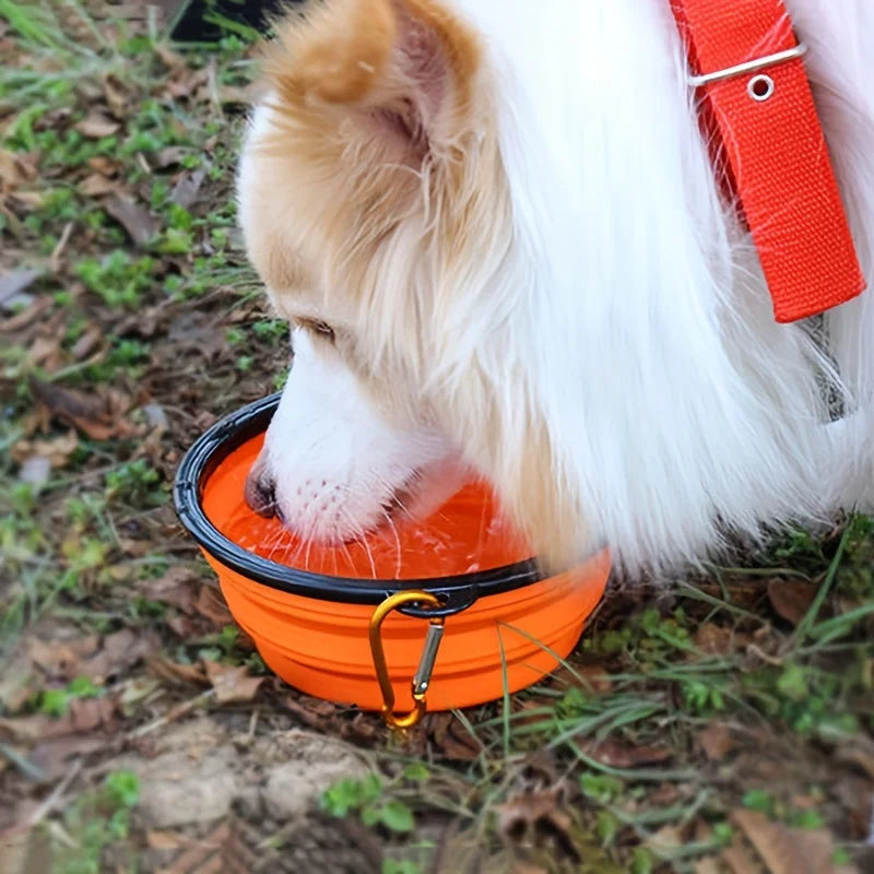 Comedero Plegable Portátil para Perros y Gatos – Práctico, Resistente y de Viaje