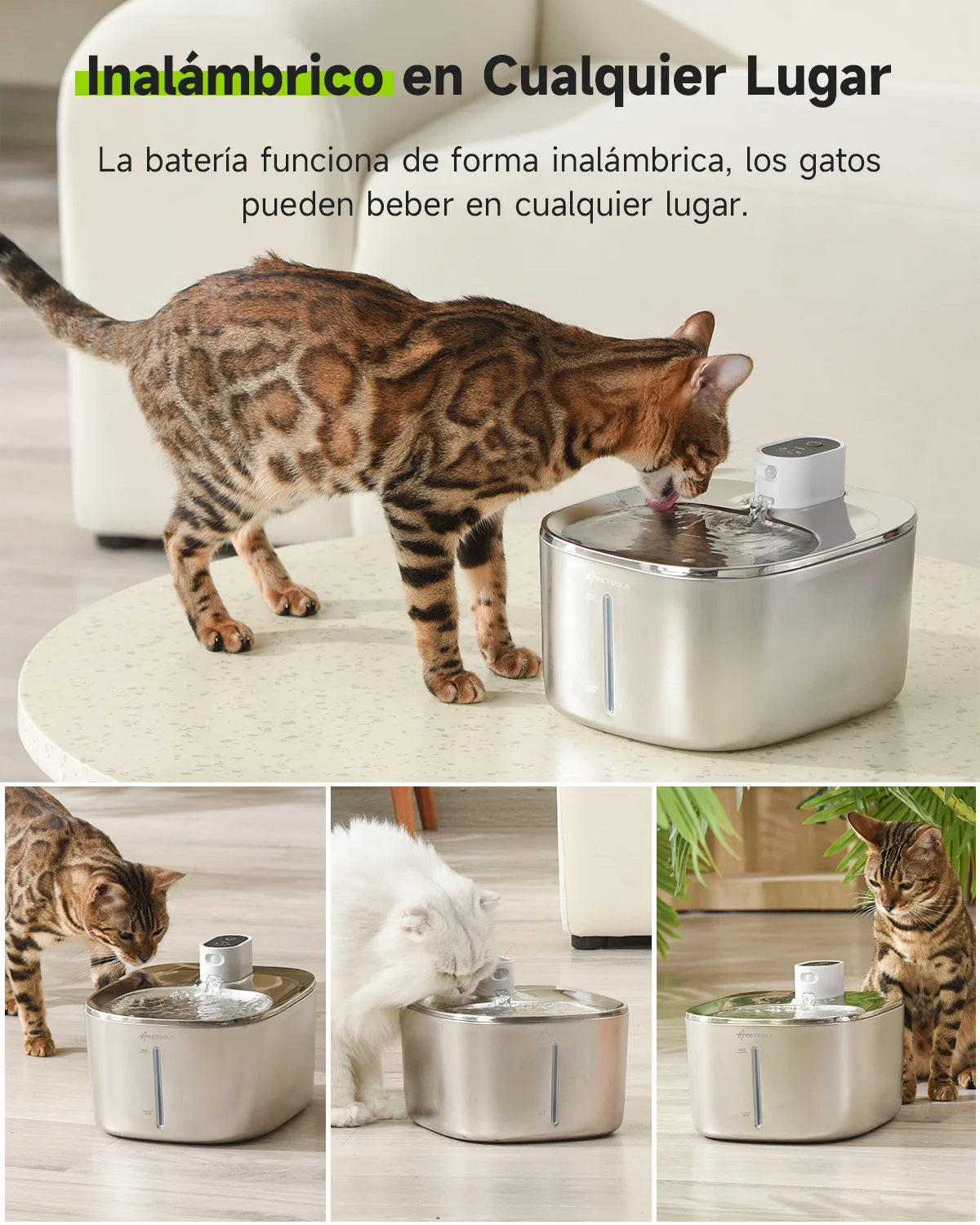 4L Cordless Stainless Steel Fountain: Total Freedom and Purity