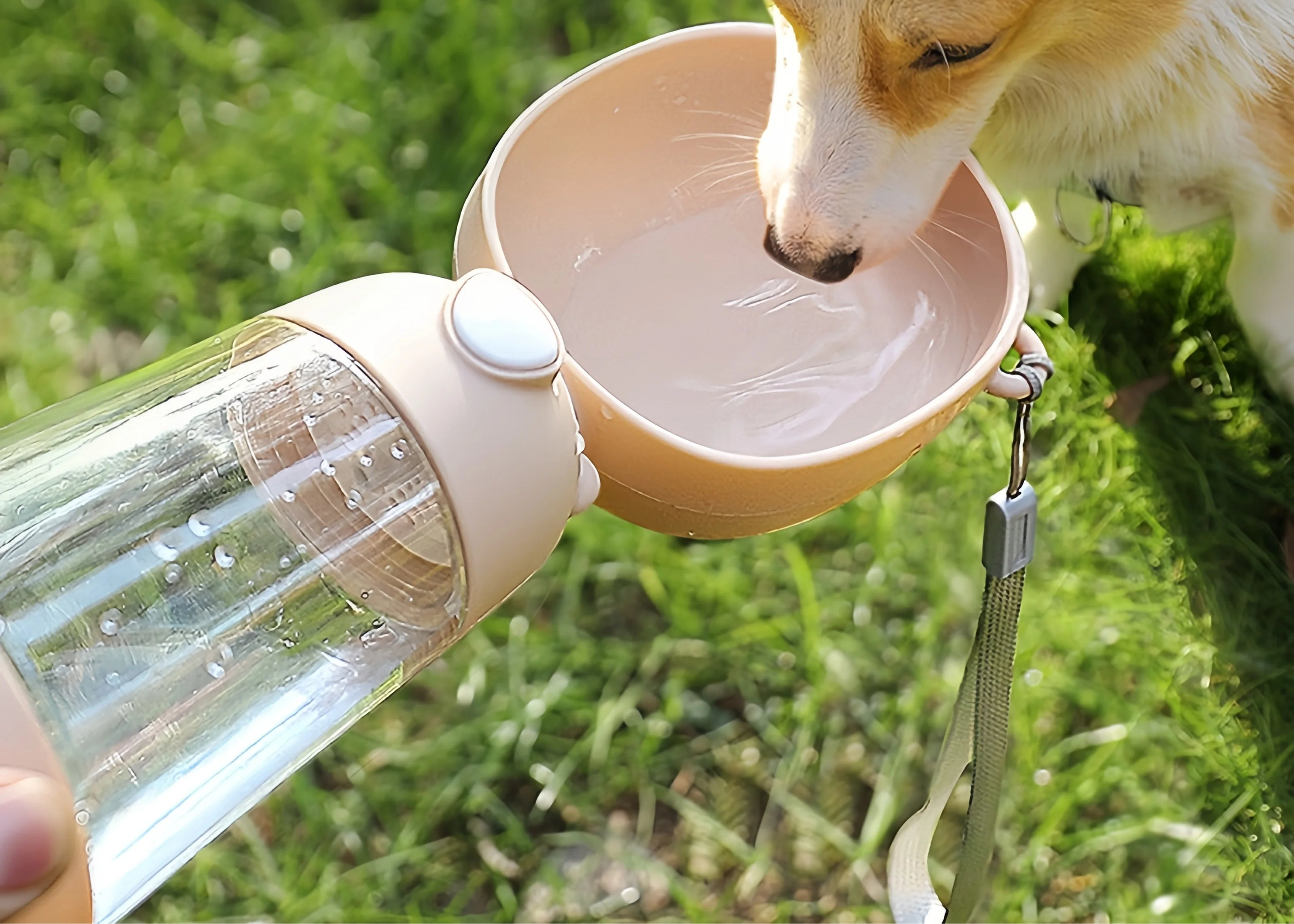 Comedero y Bebedero Portátil para Perros y Gatos – Práctico, Ligero y Antiderrame