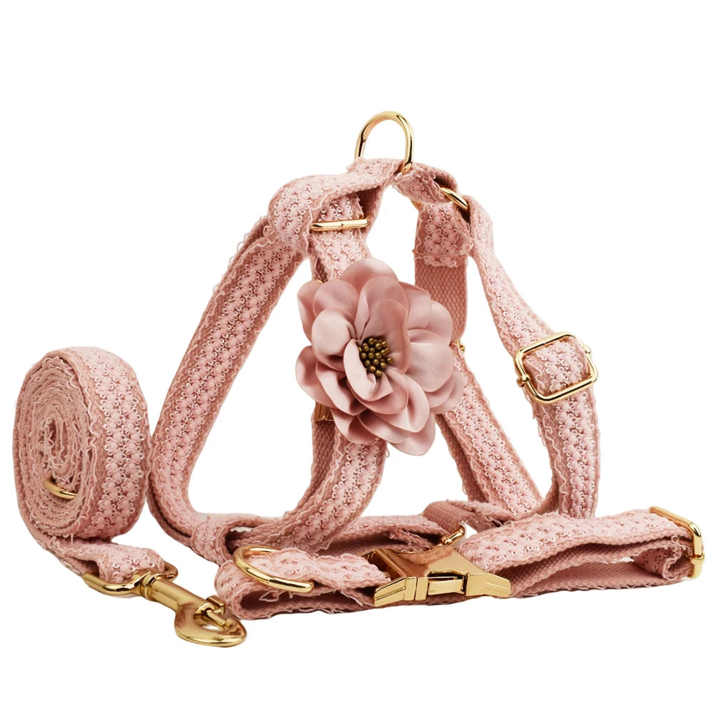 Set de Collar y Arnés de Encaje Rosa Personalizable