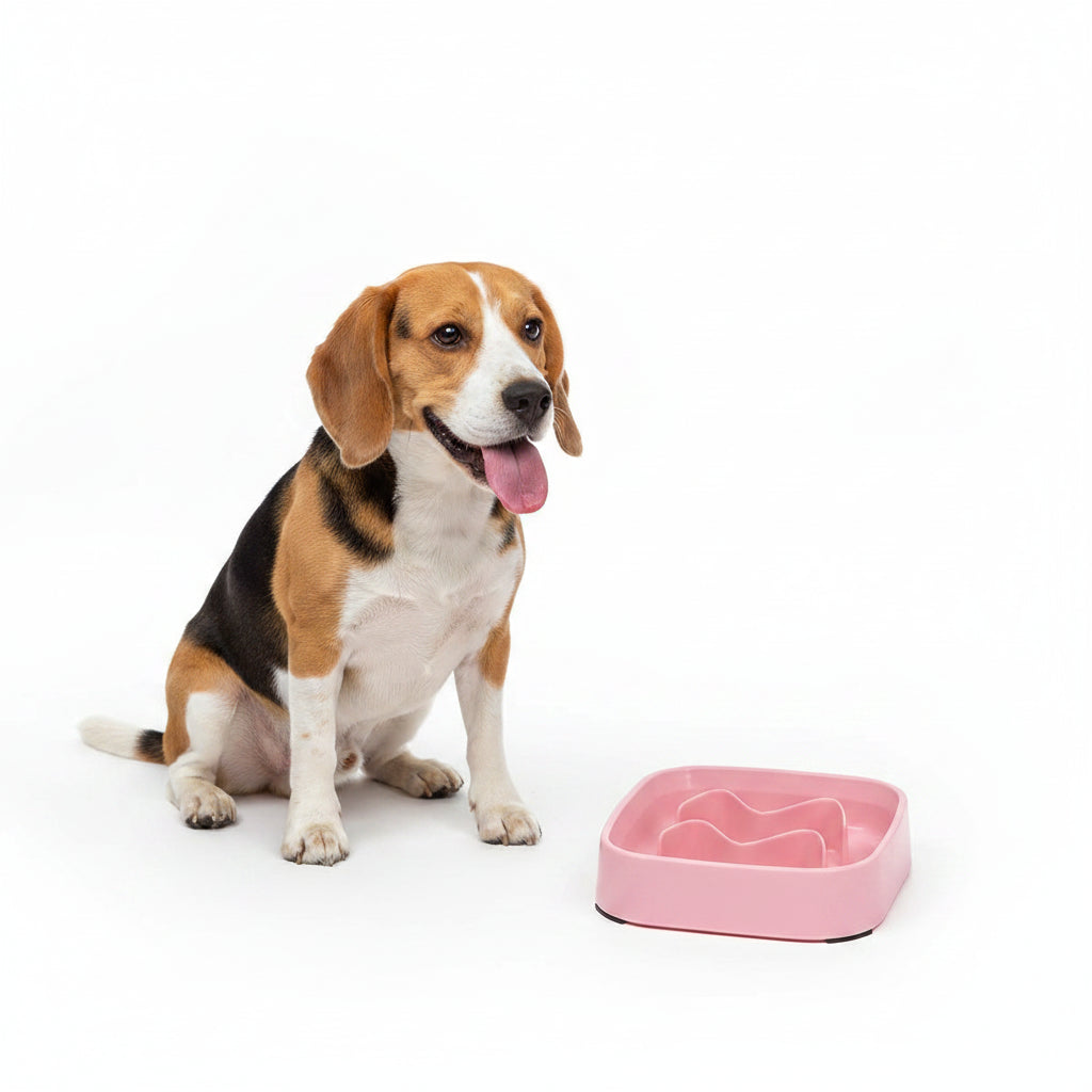 Comedero Antiahogo de Colores para Perros y Gatos