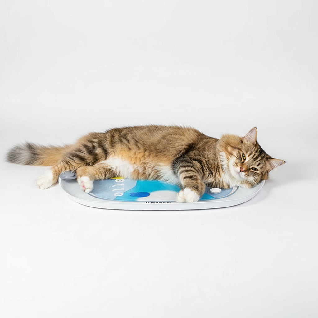 Colchoneta Refrescante de Gel para Perros y Gatos