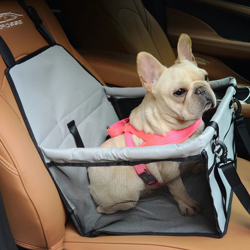Asiento-Transportín para Coche: Versatilidad y Protección en tus Viajes