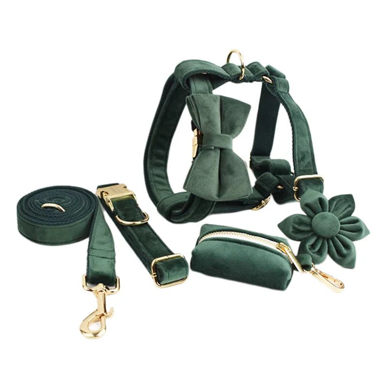 Set de Collar, Arnés y Correa de Terciopelo Personalizable