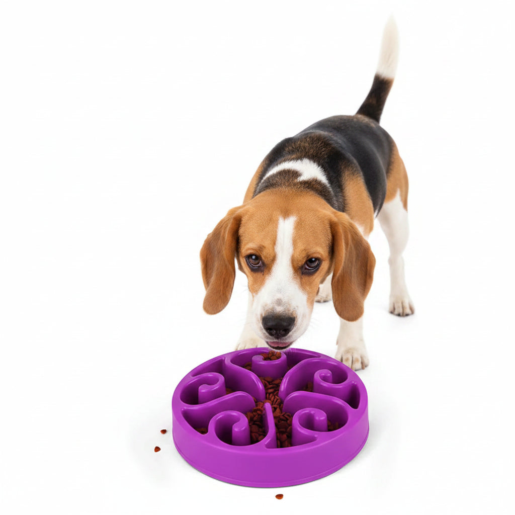 Comedero Antivoraz para Perros Grandes, Medianos y Pequeños