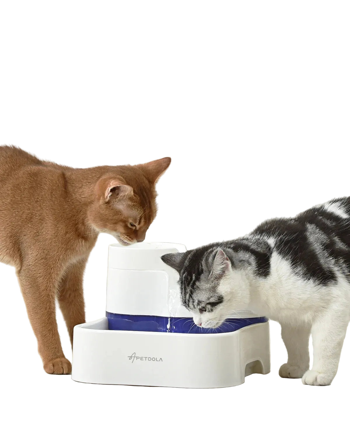 Smart Water Fountain 3L: Human-Grade Filtration and Wireless Pump